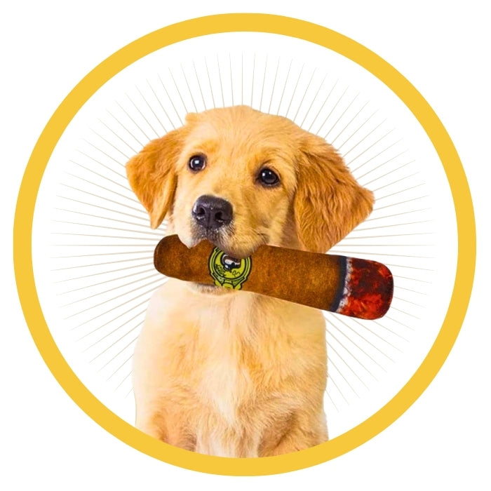 Charuto de Pelúcia® para Pet