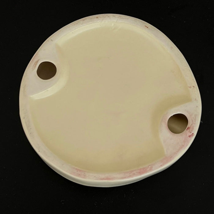 Cinzeiro Pink Lung®